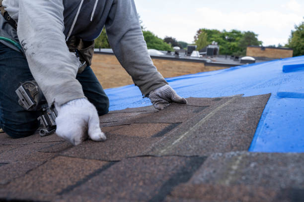 Quick and Trustworthy Emergency Roof Repair Services in Trowbridge Park, MI