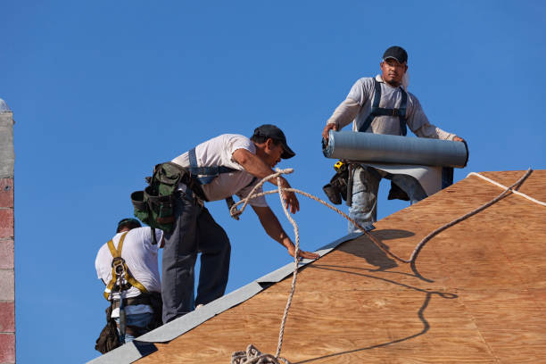 Best Roof Leak Repair  in Trowbridge Park, MI