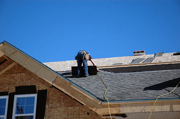 Best Affordable Roof Replacement  in Trowbridge Park, MI