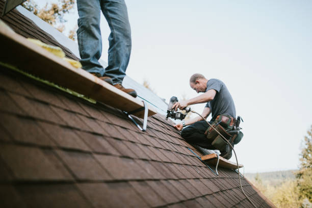 Best Metal Roofing Contractor  in Trowbridge Park, MI
